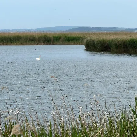 Kranich - Mit Terrasse *