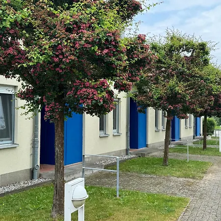 Kranich - Mit Terrasse Dewichow