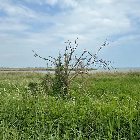 Kranich - Mit Terrasse * Dewichow