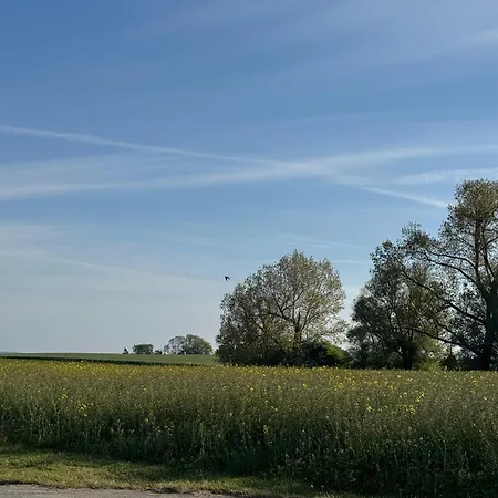 Kranich - Mit Terrasse Dewichow