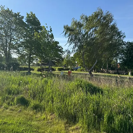 Kranich - Mit Terrasse شقة *