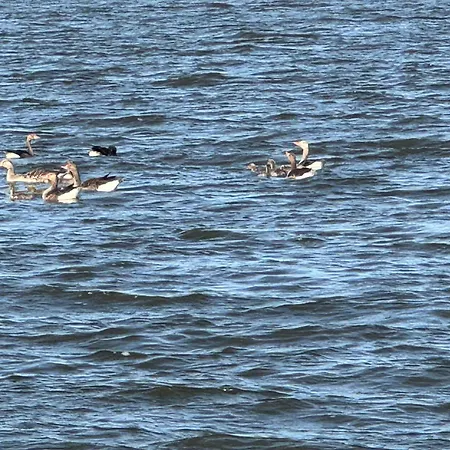 شقة Kranich - Mit Terrasse Dewichow